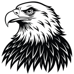 Obraz premium Bald Eagle Silhouette