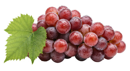 Isolated Bunch of Red Grapes with Water Droplets
