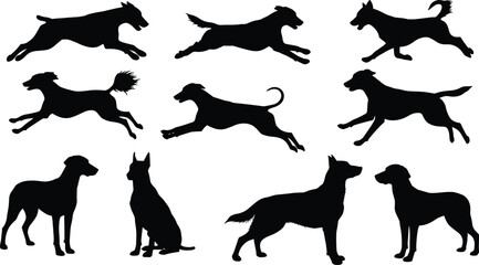 Black silhouette dogs in various running and standing poses, vector dog illustrations, canine animal icons, pet shapes and outlines