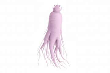 Pink ginseng root levitating against transparent backdrop, highlighting medicinal wellness properties in digital rendering