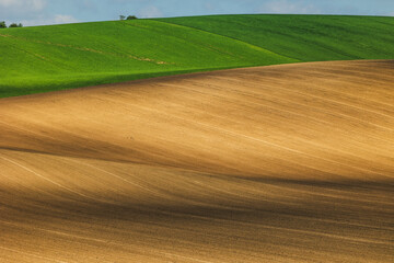 Obraz premium Rolling green fields of Moravia in spring, painted with colorful patches and gentle hills