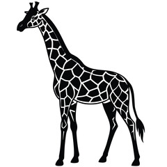 Naklejka premium Giraffe Silhouette