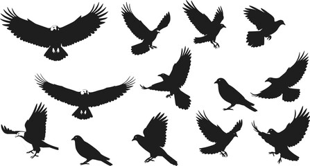 Flying bird silhouette collection, black bird vector, eagle raven crow illustration, bird pose set, animal graphic, wildlife, nature scene