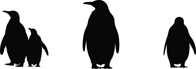 Penguin silhouette illustration, standing penguins vector, wildlife animal shapes, Antarctic bird design, different penguin sizes, black bird silhouettes © Santo's World