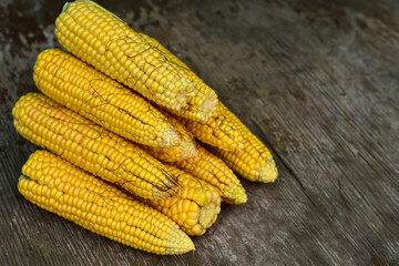 Fresh ripe corn cobs on rustic wooden table, close up. Sweet corn ears background. Group of corn cob for sale. Farm s local market. Harvest in the village.
