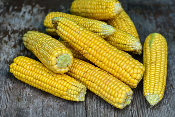 Fresh ripe corn cobs on rustic wooden table, close up. Sweet corn ears background. Group of corn cob for sale. Farm s local market. Harvest in the village.
