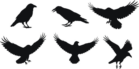 Silhouettes of flying and perched ravens or crows, black bird vector illustration, isolated animal poses, cad drawing vector clipart