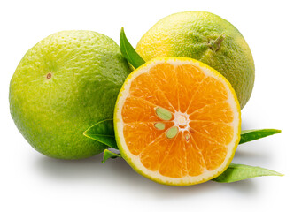 Green tangerines with green leaves and cross cut of citrus fruit isolated on white background. File contains clipping path.