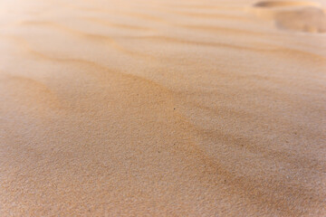 Multiple Human Footprints on Soft Golden Desert Sand at Sunset with Wind-Sculpted Patterns and a Sense of Solitude and Adventure