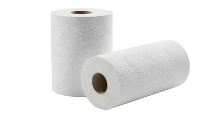 Isolated Kitchen Paper Towels Rolls