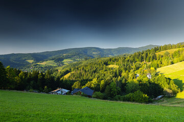 Górski krajobraz wśród wzgórz i bujnych zielonych pól, złota godzina, naturalne piękno, Beskidy, Cieńków, Polska © anettastar