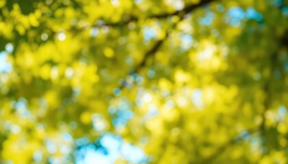 Abstract View of Sunlit Tree Canopy with Green Leaves and Bright Sky Creating a Dreamy Soft Focus Look