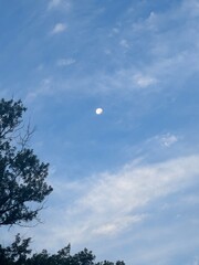 sky and moon