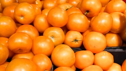 Fresh orange tomatoes with glossy skin — a vibrant vegetable backdrop for culinary design, farm brands, packaging, content about healthy eating, and seasonal products.