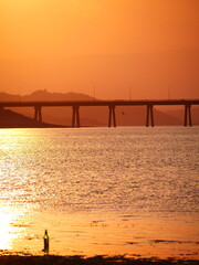 Fototapeta premium sunset on the beach