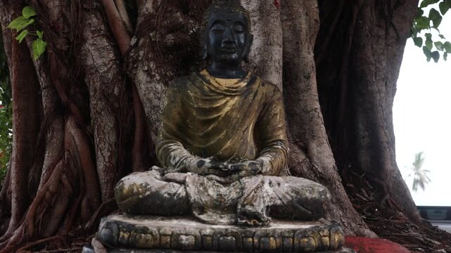 Buddha statue near a tree, Thailand. A symbol of Buddhism against the background of nature