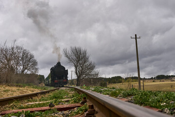 Vintage Steam Train in Rural Landscape