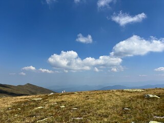 A wild dog roams the mountain tops.