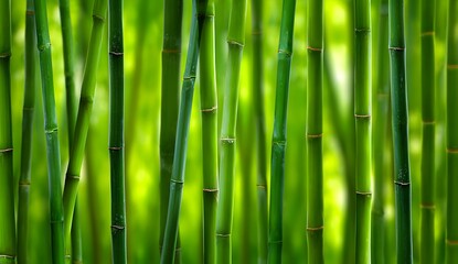 Obraz premium Close-up view of green bamboo stalks in a dense forest. Vertical composition with natural light and vibrant green tones. Tranquil, fresh, and minimal nature background.