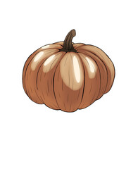 Illustration of a pumpkin. Autumn motif. Halloween