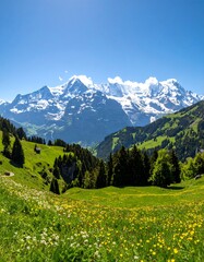 Alpine meadow, snow-capped peaks