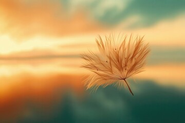 Obraz premium A delicate dandelion seed head floating gently in the air against a beautiful, soft sunset background.