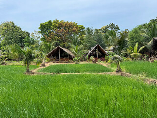 Small village in the Sri Lankan country side.