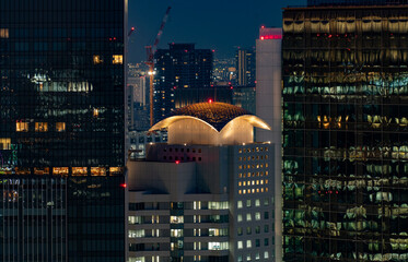Osaka skyscrapers at night from Kuchu Teien viewpoing