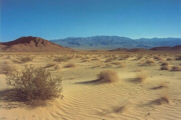 A wide desert expanse features ripple patterned sands and sparse vegetation with mountains on horizon under a clear blue sky in a sunny landscape.