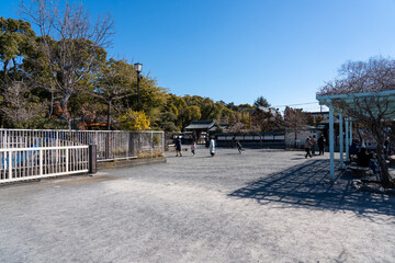 神奈川　鎌倉　鶴岡八幡宮