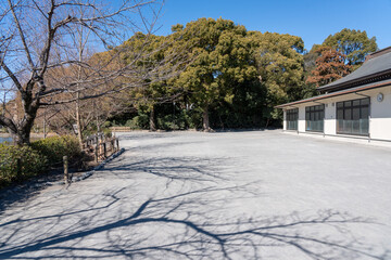 神奈川　鎌倉　鶴岡八幡宮
