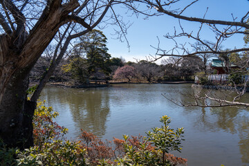 神奈川　鎌倉　鶴岡八幡宮