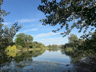 Obraz premium Lake water peace quiet recreation fishing reeds nature water lilies relaxation wellness fish pond trees meadow local recreation See Wasser Ruhe Stille Erholung Angeln Schilf Natur Seerosen Entspannung