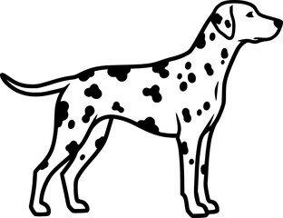 Fototapeta premium Dalmatian dog full body standing side view outline vector 