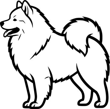 Samoyed dog full body standing side view outline vector
