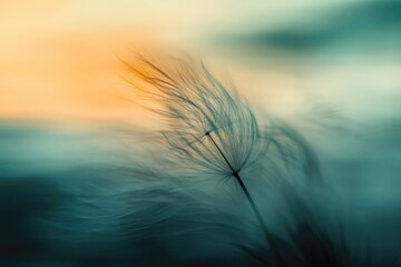 A mesmerizing close-up of a delicate dandelion seed against a soft, dreamy backdrop of muted teal and warm gold tones.