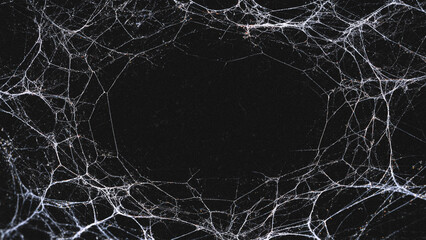 halloween background