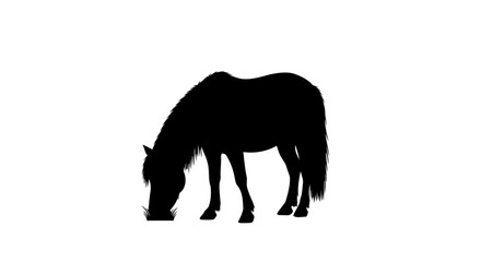 Fototapeta premium elegant black horse silhouette transparent background for modern designs