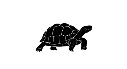 elegant black tortoise silhouette transparent vector for modern designs