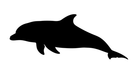 Fototapeta premium elegant dolphin silhouette transparent vector for modern designs presentations