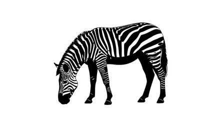 Obraz premium elegant zebra silhouette transparent vector graphic for modern designs