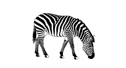 Obraz premium elegant zebra vector transparent background for modern designs presentations