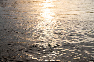 Rippling water surface with sunlit reflections in aquatic environment