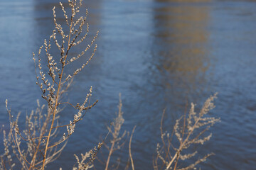 lake in an urban park in early spring