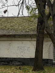 old house in the forest