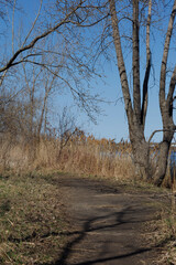 strolling through an urban park in early spring