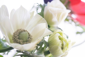 white anemone bouquet