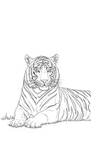 Elegant linear drawing portraying a resting tiger in its natural habitat
