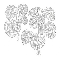 Minimalist Line Art Illustration Featuring