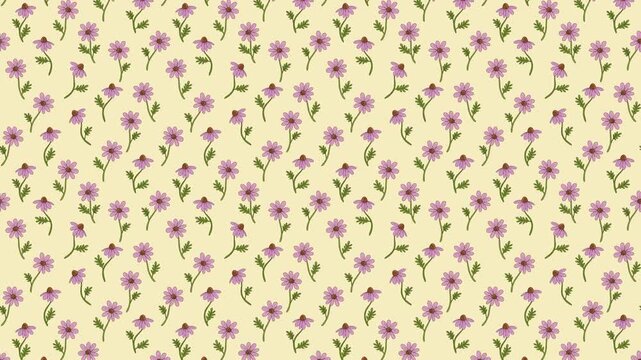 Seamless floral pattern video  with echinacea on yellow background. Herbal theme, pink coneflowers with green leaves. Loops continuously, could be used as wallpaper or background for any content.